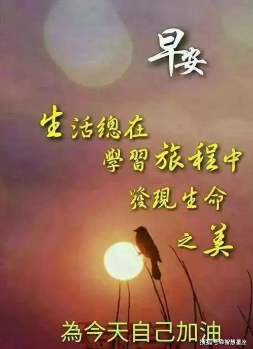 正月十八最美的早上好鲜花问候动态图片,暖心的清晨早上好祝福语送给你
