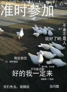 周年庆part.1三周年祝福征集
