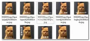 暗中委屈橘猫表情包暗中委屈橘猫可爱表情包去广告版软件下载
