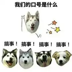 傻狗表情包什么意思费尔德