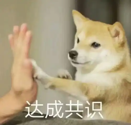 把别人怼得无话可说的表情包