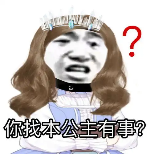 沙雕表情你找本公主有事
