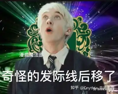 哈利波特表情包
