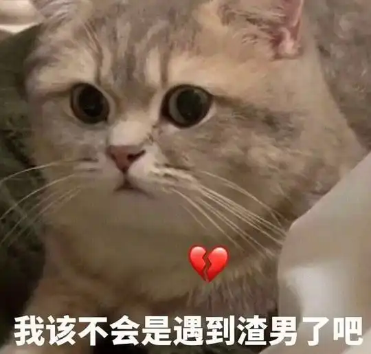 玫瑰沾白糖的相册天使猫猫的表情包
