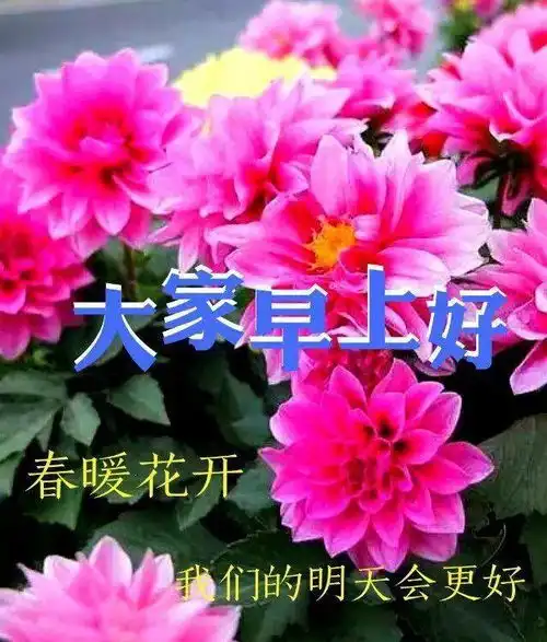 3月23日初春清晨慰问大家早上好图片全集好看的早上好表情包带祝福语
