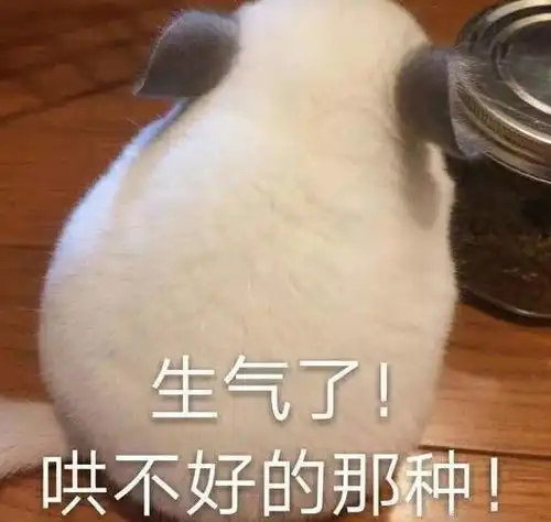 把这个当圣诞礼物送给她,女朋友绝对没脾气
