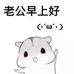 卖萌仓鼠老公表情包
