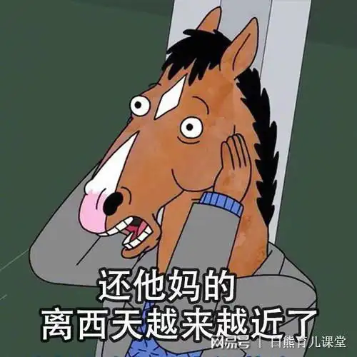 中年就是西游记,悟空的压力,八戒的身材,沙的发型,唐僧的磨叽
