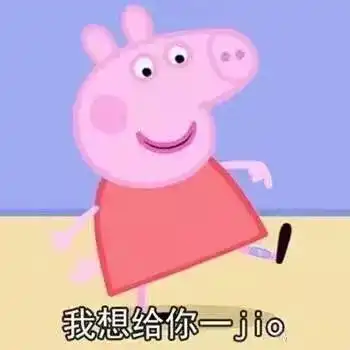 为什么潮人都开始养猪了
