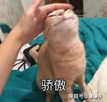 沙雕表情包图片那你告诉我怎么才能不沙雕

