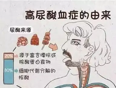 喝普洱茶痛风发作的原因及预防方法,探究普洱茶对痛风的影响及效果
