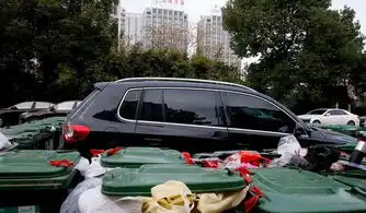 私家车占垃圾中转点车位被40余垃圾桶包围

