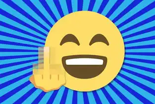 whatsapp在印度被警告表情粗俗违法
