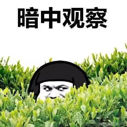 突发网易一员工核酸检测阳性,全员居家隔离办公

