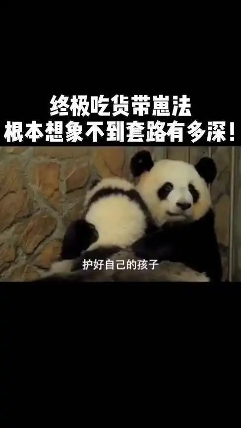 大熊猫你别看我现在抱崽抱得紧,只要有加蜂蜜的盆盆奶,什么都好说
