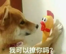 新生你有一份武汉生存秘籍已送到,请查收

