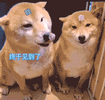 抖音最火动图表情
