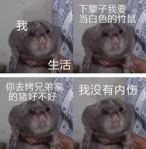 中国式家长vs中国式竹鼠,嗯这只竹鼠考试没考好,只能红烧了
