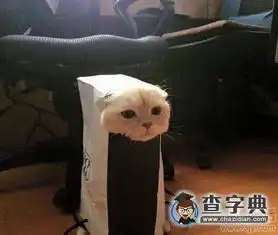 总有刁民想笑朕搞笑图片

