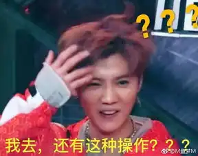 鹿晗粉丝自制表情包什么水平
