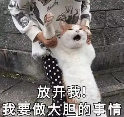 旅游碰到一个男孩子,以为是富二代,结果经常找我借钱哈哈哈
