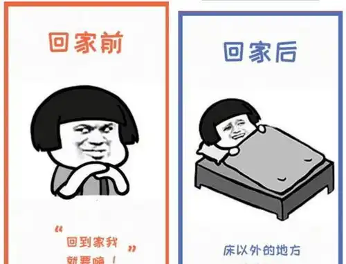 网友用表情包诠释大学生回家前后,对比图逗乐网友这也太真实了

