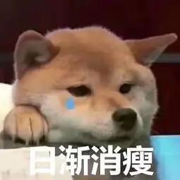 怀化猪肉价格一路飙升,排骨28元1斤吃不起了....
