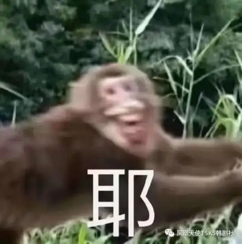 不想开学上班可以计划偷偷来这里
