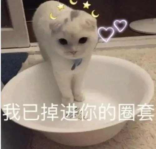 熊猫头表情如果可以,我想成为一个你也害怕失去的人
