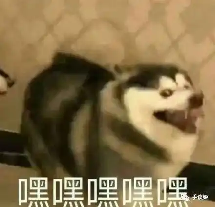 宅家久了,我差点在游戏中游遍了全世界
