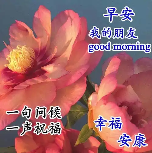 冬季天冷降温早上好问候语冬天早安天冷温馨的好看的图片带字带祝福语
