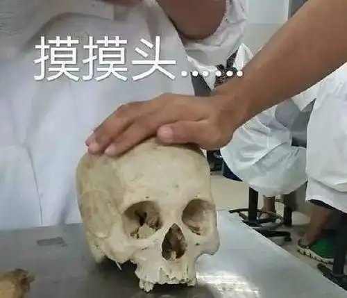 只有亿点点沙雕的表情包