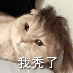 可爱沙雕表情包小姐姐,抱抱我

