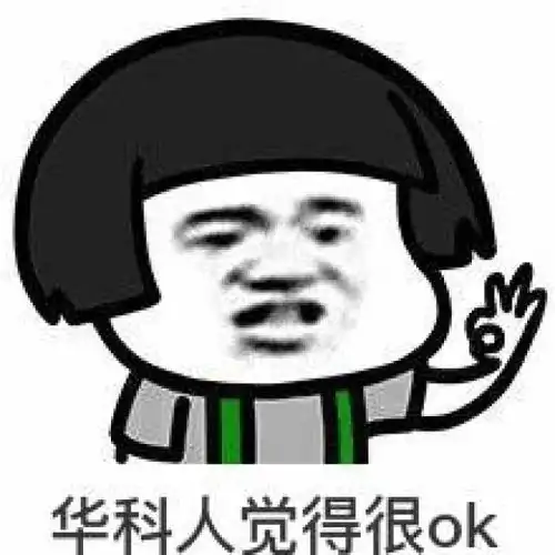 最全华科表情包来袭
