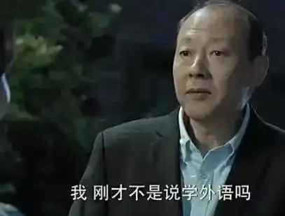 人民的名义陈清泉和丁义珍,谁的外语更厉害

