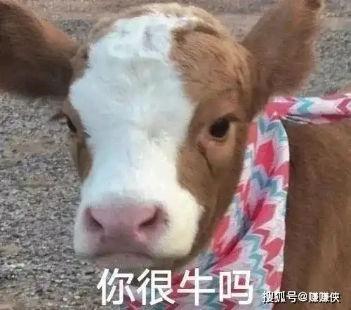 热门表情包图片让你皮,我就看戏,你很牛嘛
