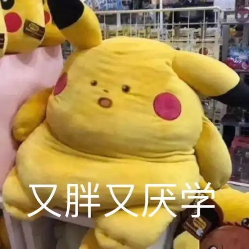 有哪些关于学习的表情包
