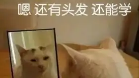 分班考最后四天
