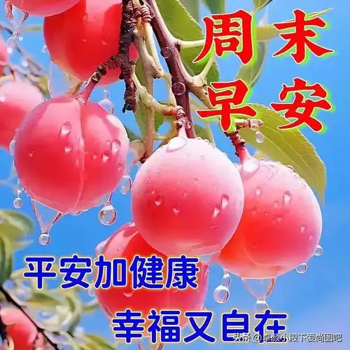 早安问候打卡9
