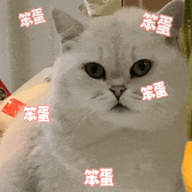 头给你打歪丨第967期喵表情包
