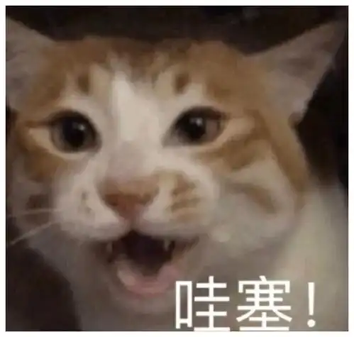 当广东人和东北人谈恋爱之后哈哈哈哈我当场笑到自挂东南枝
