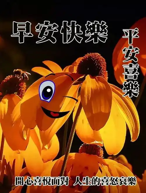 周五最美早上好祝福语动图,清晨早上好问候动态表情图片
