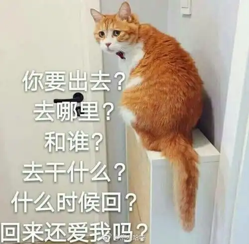 爱用表情包合集