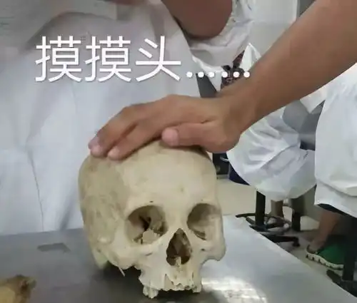 那些被玩坏的表情包你都有吗此文略长请保持电量充足
