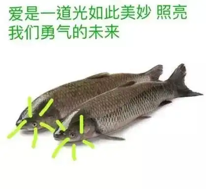 高考囧囧囧囧
