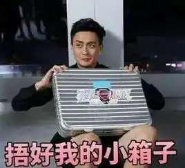爆笑盘点,那些被极限挑战玩坏的嘉宾们,九亿少女即将被虐
