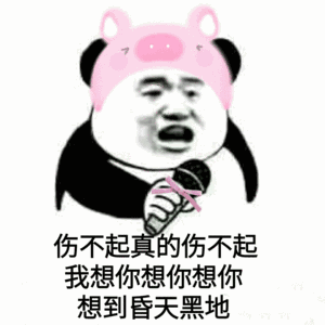 熊猫头表情包才最快乐43
