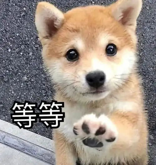 沙雕表情包l不要靠近会变得不幸
