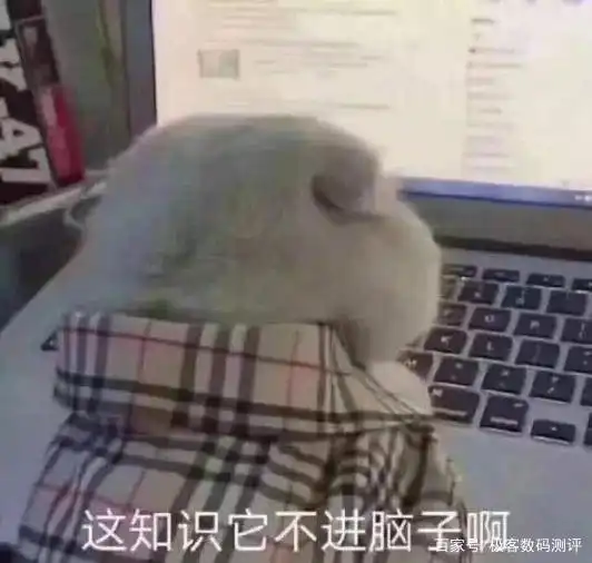 云上课效率差那是因为你还没找到宅家学习的正确打开方式
