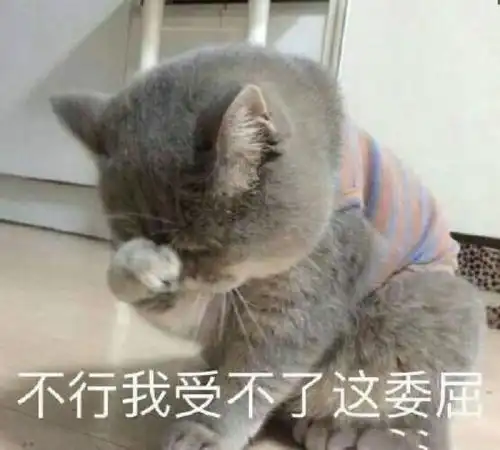 关于委屈的表情包不行,我受不了这委屈
